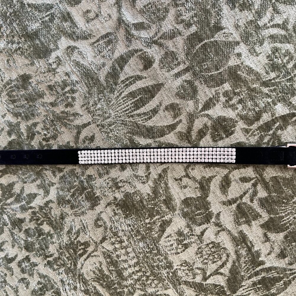 Susan Lanci 4-Row Rhinestone Giltmore Dog Collar Size Small